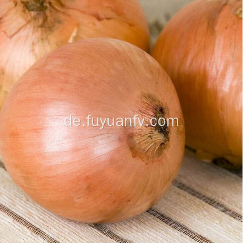 Runde frische gelbe Zwiebeln frische billige Zwiebel